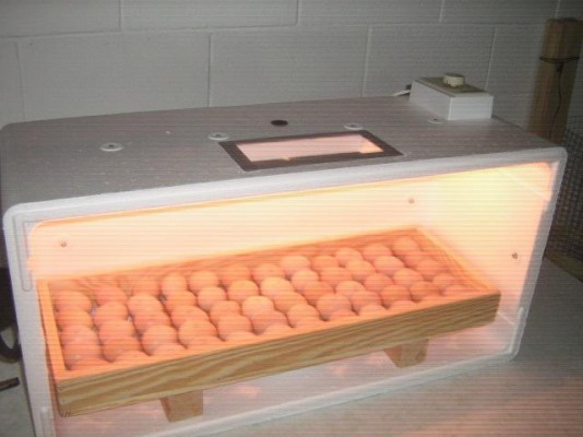 INCUBADORAS NUEVAS para 70 y 120 huevos. Faciles de manejar